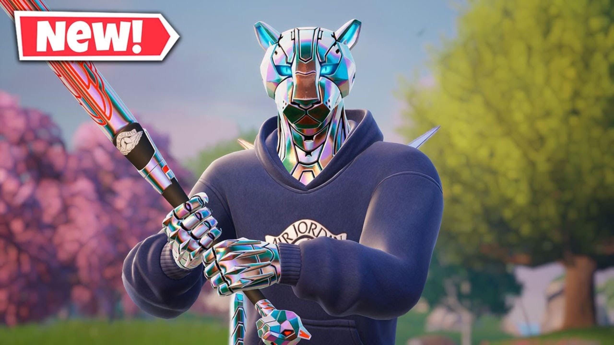 国男子蛙泳 国男子蛙泳